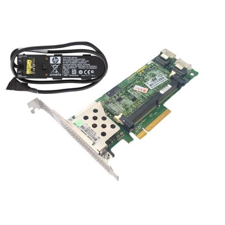 HPE Kit Smart Array P410/512MB FBWC 2-Ports Int PCIe X8 SAS Controller Board (462864-B21) R